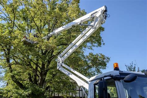 sample contract  tree removal tree service tree removal service