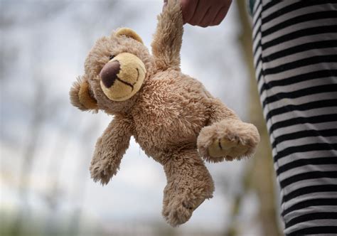 closeup photography  brown teddy bear  stock photo