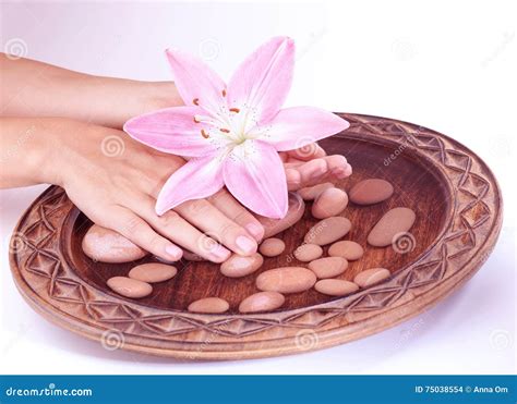 hands spa concept stock photo image  orchid palm