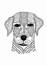 Woof Favecrafts Coloringpagesonly Primecp Irepo Getdrawings Unicat Cymbal sketch template