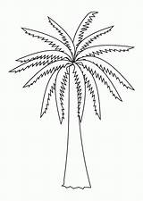Palm Tree Template Coloring Library Clipart Date sketch template
