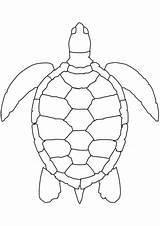 Coloring Sea Turtle Pages Printable Categories sketch template