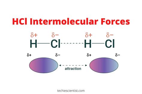 hcl intermolecular forces type strong  weak techiescientist
