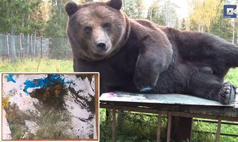 Giant Brown Bear Rolls Around In Paint To Create