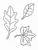 Coloring Leaves Leaf Printable Pages Oak Kids Yofreesamples Stencil Preschool Print Stuff Popular sketch template