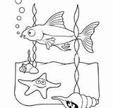 Coloring Sea Life Pages Popular Printable Coloringhome sketch template