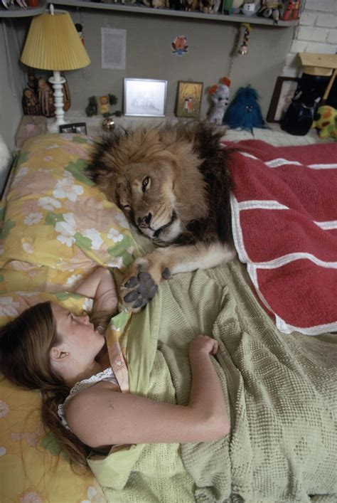 family pet lion