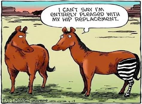 66 Best Pt Humor Images On Pinterest Physical Therapist Physical