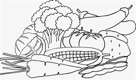 printable coloring pages vegetable garden coloring pages