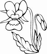 Flori Coloriage Orchidee Orchid Colorat Desene Cu Violette Colorir Dessin Imprimer Planse Orquidea Copii Ludinet Ranunculus Trafic sketch template