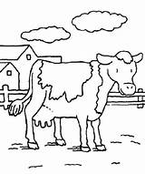 Coloring Cow Pages Cute Cattle Coloring4free Animal Farm Printable Color Farms Animals Davemelillo Print Mom Coloringbay Getdrawings Getcolorings Kids Sheets sketch template