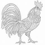 Coloring Rooster Adult Pages Zentangle Stylized Outline Chicken Cock Drawing Adults Illustration Cartoon Stock Print Tattoo Sketch Printable Chickens Etsy sketch template