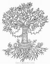 Coloring Tree Pages Life Olive Roots Trunk Adult Drawing Printable Adults Simple Coloringgarden Pecan Color Mandala Drawings Celtic Template Sheet sketch template