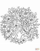 Coloring Owl Tree Pages Blooming Para Colorear Dibujos Dibujo Mandalas Pdf Supercoloring Imprimir Owls Printable Arboles Libro Adultos Drawing Desde sketch template