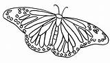 Butterfly Monarch Template Cliparts Coloring Pages Kids sketch template
