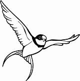 Sparrow Coloring Flying Designlooter Printable Version Click sketch template