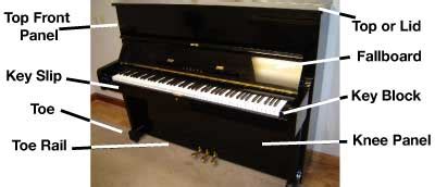 parts   piano pianoguidelessonscom