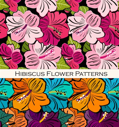 hibiscus flower pattern vector