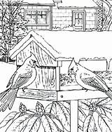 Coloring Bird House Pages Birdhouse Cardinal Template Vine Popular sketch template