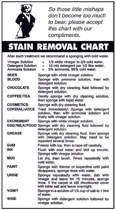 stain removal chart diy home cleaning homemade cleaning products