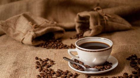 12 curiosidades sobre o café
