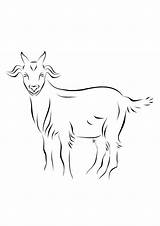 Goat Coloring Pages Cute Goats Animals Parentune Momjunction Choose Board sketch template