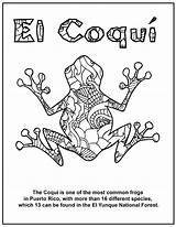 Coqui Coloring Printable Frog Taino Book Puerto Rico Pages Kids Printables Just Click sketch template