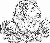 Savanna Coloring Pages Animals Grassland Lion Clipart Grasslands Drawings African Animal Color Library Popular Coloringhome Gif Comments Wild sketch template