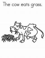 Coloring Cow Grass Pages Eats Grow Well So sketch template