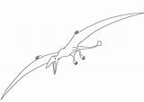 Pterodactyl Pterodattilo Ausmalbilder Flugsaurier Malvorlage Dinosaurier Dinosauri Dinosaurio Terodactilo Volador Pterodactylus Ausmalbild Stampare Rex Mandala sketch template