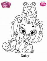 Pets Coloring Princess Pages Palace Daisy Fun Kids sketch template