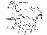 Coloring Baby Pages Horses Foals Animals Getcolorings Printable Color Getdrawings sketch template