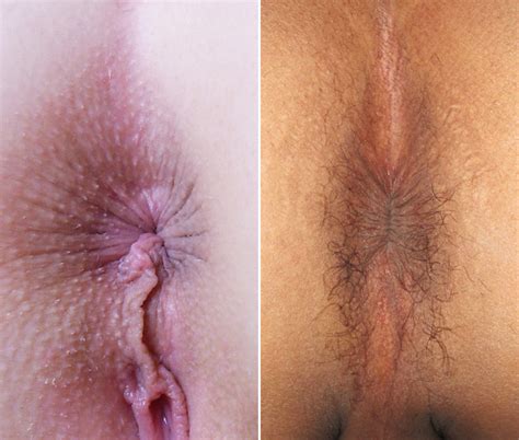 anal female free real tits