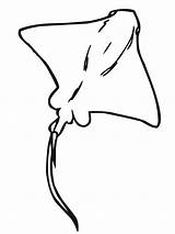 Stingray Manta Sting Whiptail Tribal Pez Mantarrayas Rays Supercoloring Turtle Mantarraya Henna Intended Stuffed Graceful Imgkid Gaddynippercrayons Diver Coloringbay sketch template