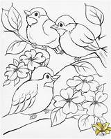 Coloring Pages Bird Choose Board Easy Drawings sketch template