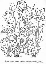Flori Colorat Desene Colorir Crocus Kwiaty Kolorowanki Planse Desenhos Plante Wiosenne Elf Relier Daffodils Coloriages Chomikuj Valley Visitar Riscos sketch template