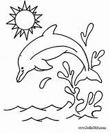 Coloring Dolphin Pages sketch template