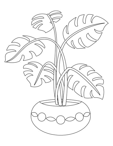 plant colouring  page etsy