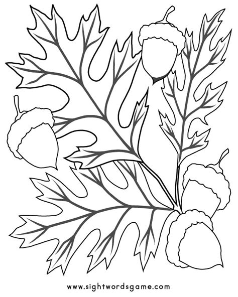 fall coloring pages fall activities  kids