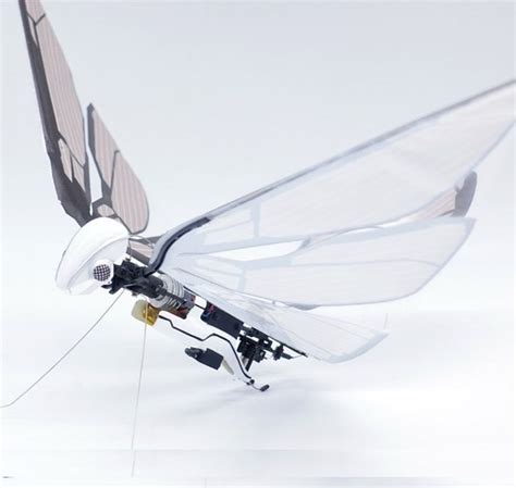 metafly  cool ornithopter drone    buy