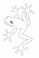 Toad Cane sketch template