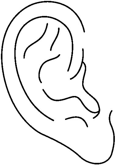 listening ears cliparts   listening ears cliparts png
