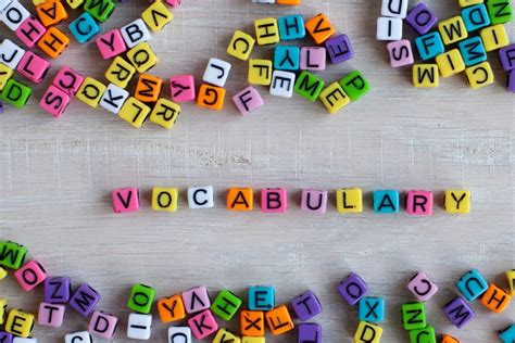 importance  improving  childs vocabulary education support hub