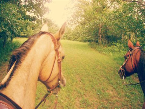 hacklebarney trail ride trail riding  horseback horseback riding