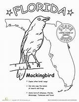 Mockingbird Worksheet sketch template