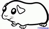 Guinea Pig Pigs Draw Kids Baby Cartoon Clipart Step Drawing Drawings Animals Coloring Easy Pages Cavy Clip Cliparts Cute Simple sketch template