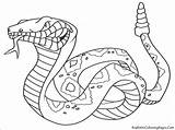 Dangerous Animals Coloring Snakes Coloringbay sketch template