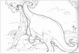 Pages Brachiosaurus Dinosaur Coloring Color Adults sketch template