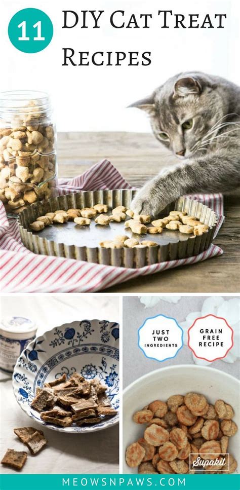 11 Diy Cat Treats Impress Your Kitty With Yummy Goodies Homemade Cat