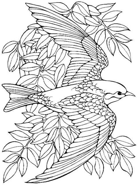 birds coloring pages  adults